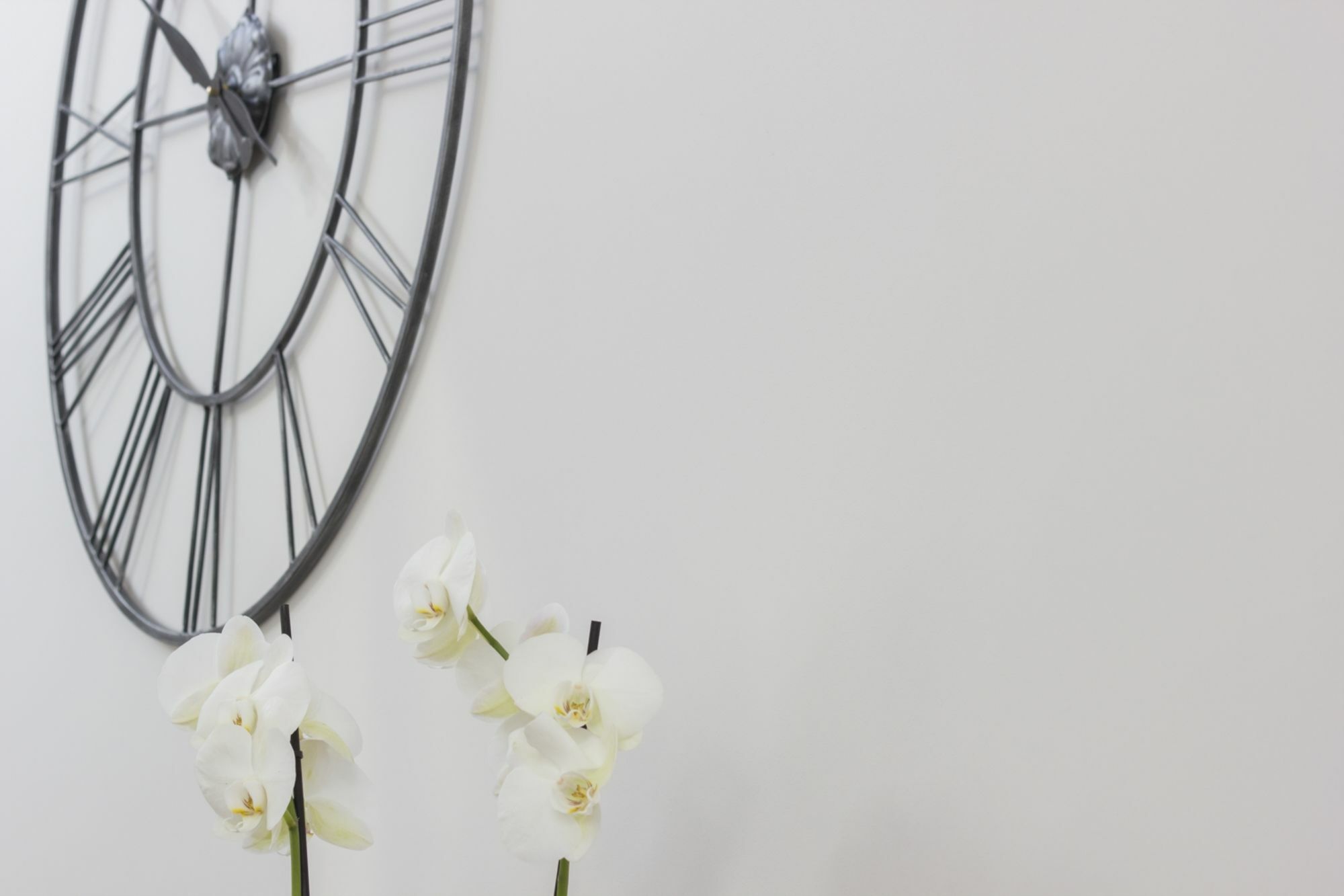 Citystay - The Dales Apartemen Cambridge (Cambridgeshire)